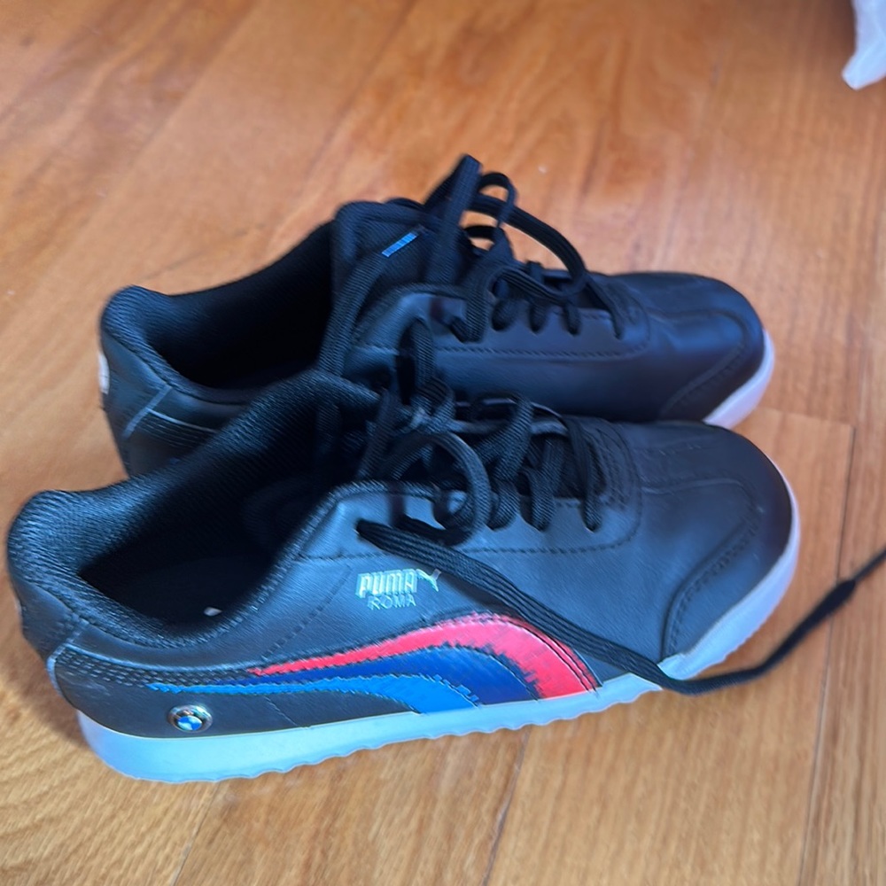 Puma Bmw Shoe